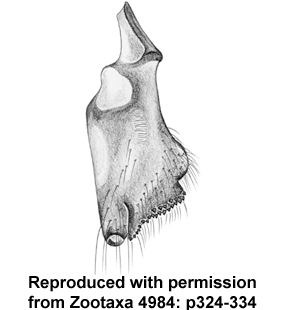 speciesimage