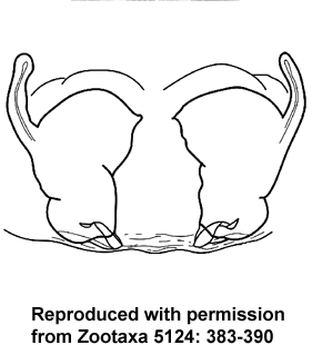 speciesimage