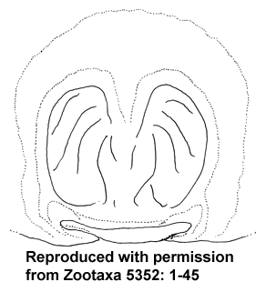 speciesimage