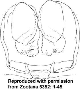 speciesimage