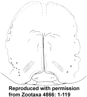 speciesimage