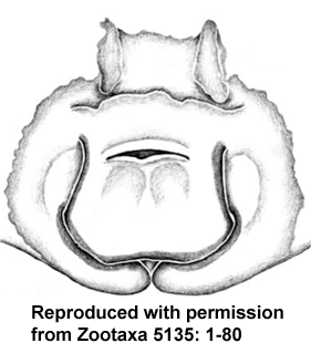 speciesimage