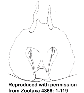 speciesimage