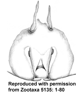 speciesimage