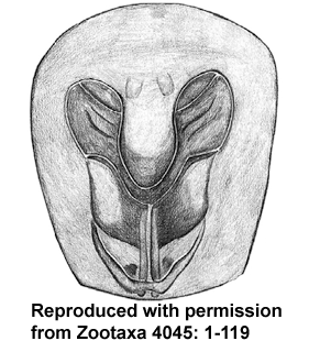 speciesimage