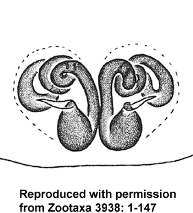 speciesimage