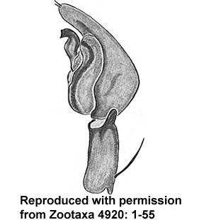 speciesimage