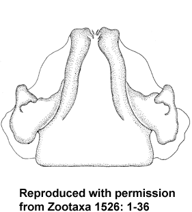 speciesimage