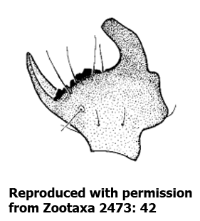 speciesimage